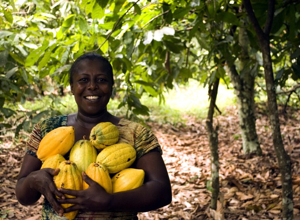 ガーナのカカオ農家の女性の画像