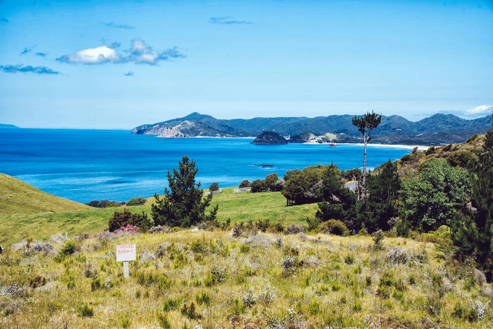 ニュージーランドの海と丘